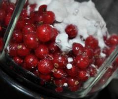 Как заморозить ягоды красной смородины на зиму в домашних условиях Заморозка красной смородины в домашних условиях