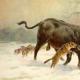 Πρωτόγονος ταύρος: η ιστορία της άγριας περιήγησης Περιήγηση σε εξαφανισμένο βιότοπο ταύρων